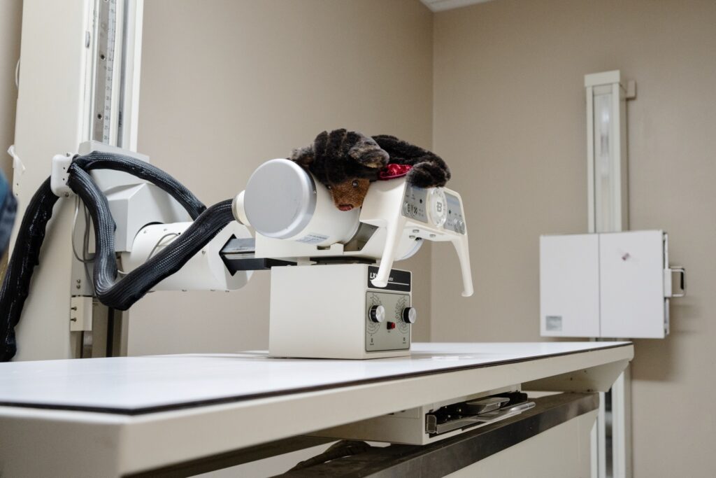 On-Site Lab and Xray Services